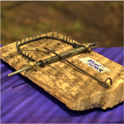 toy festival gallery